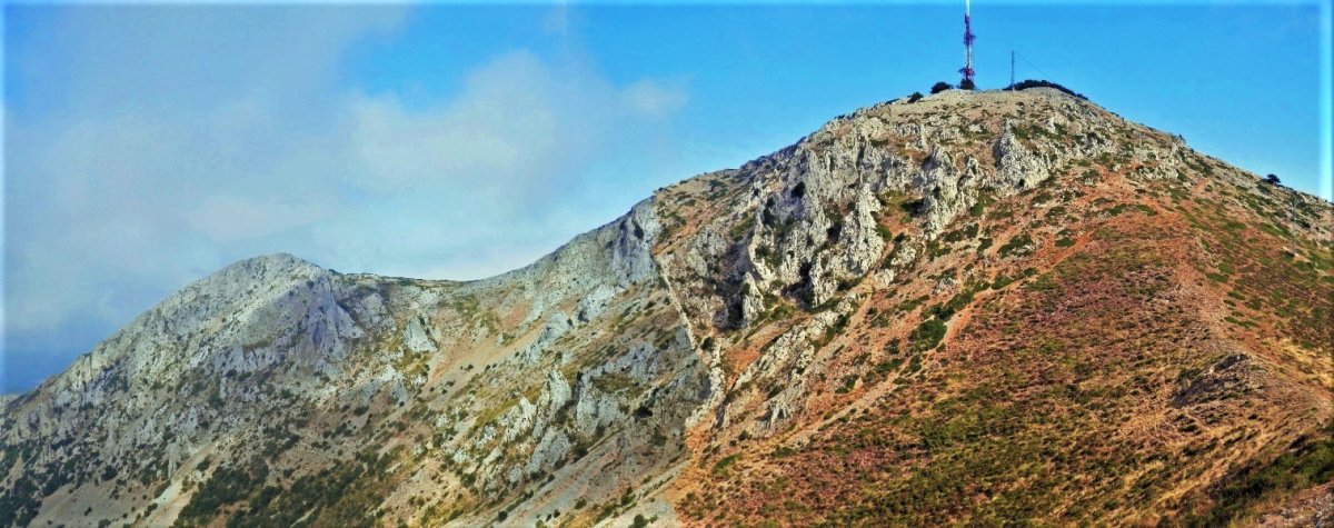 Joar eta Grudo Pico Royotik