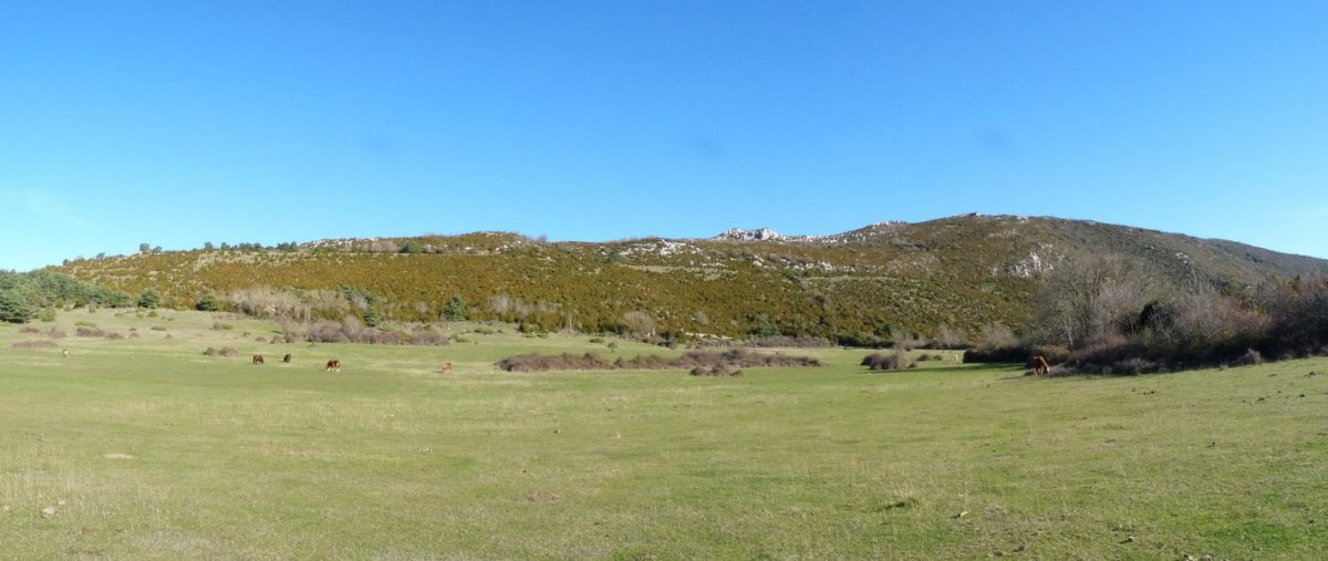 Playako larreak, Larrogaingo malkarren azpian