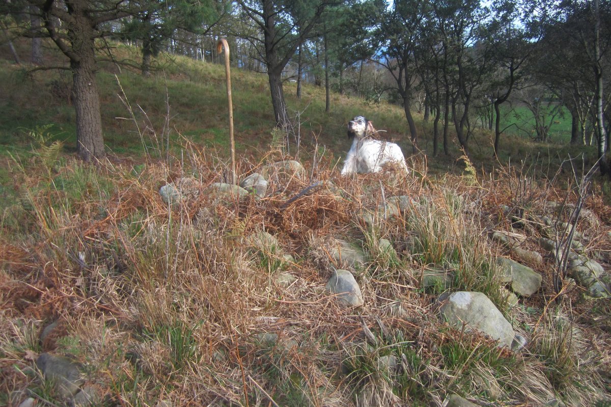 Dólmen Arrobizar  (Noviembre 2020)