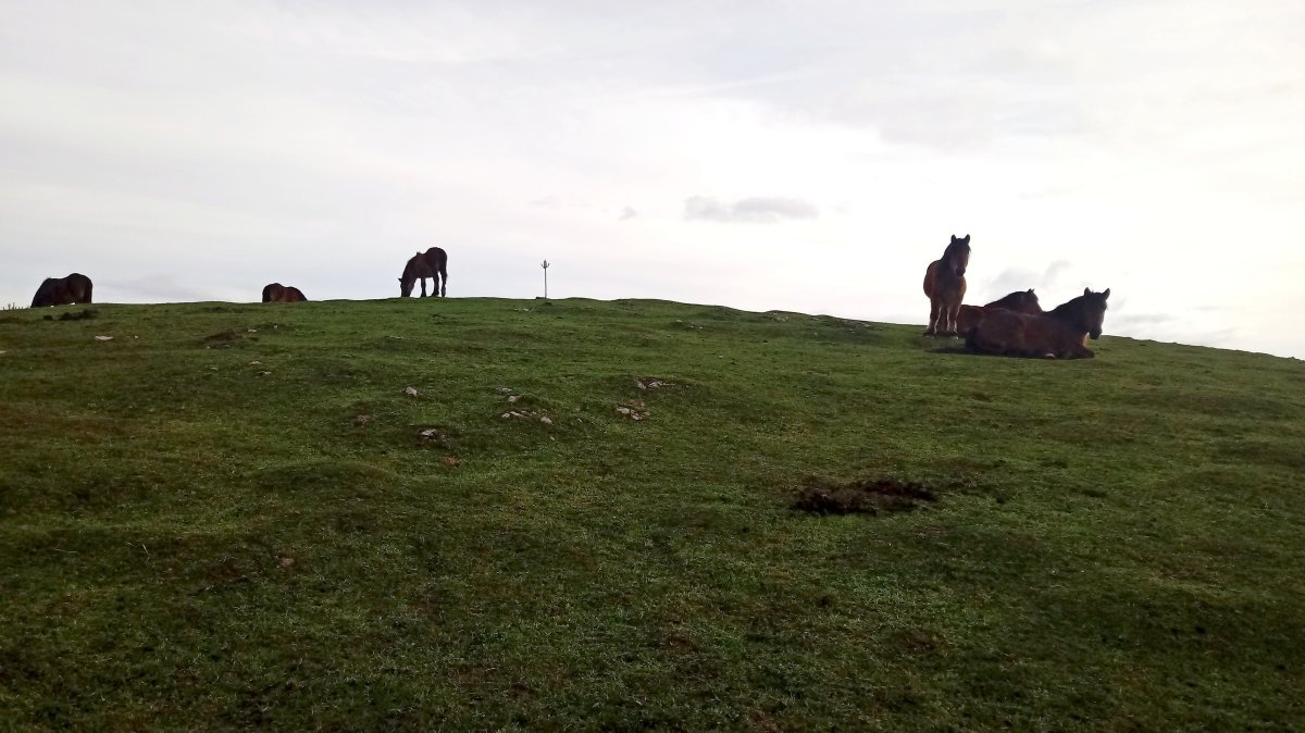 Eluztizain (809m) gainaldea