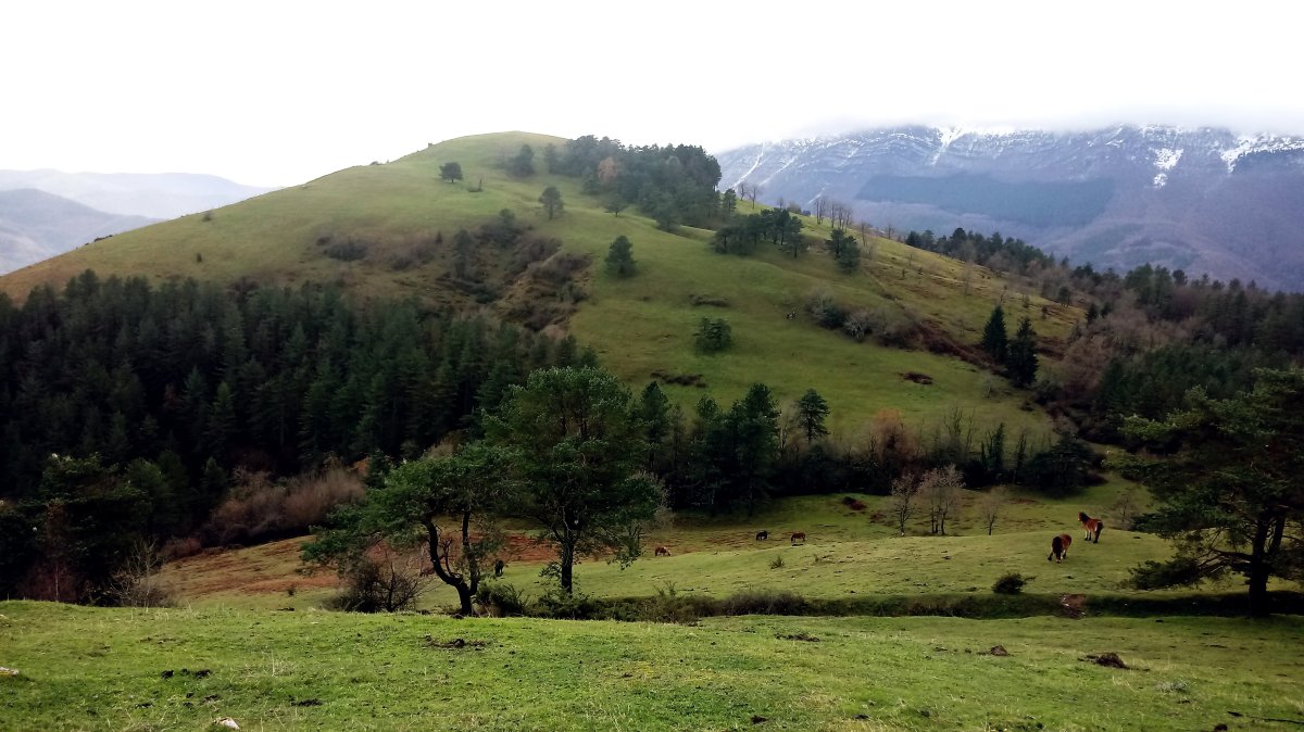 Oamendi (865m) Eluztizain aldetik