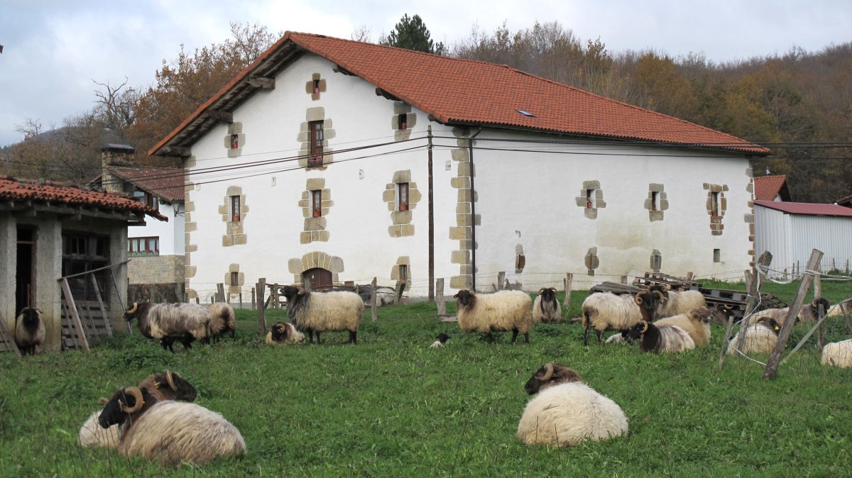 Etxeberria etxea, Jauntsarats-Basaburua