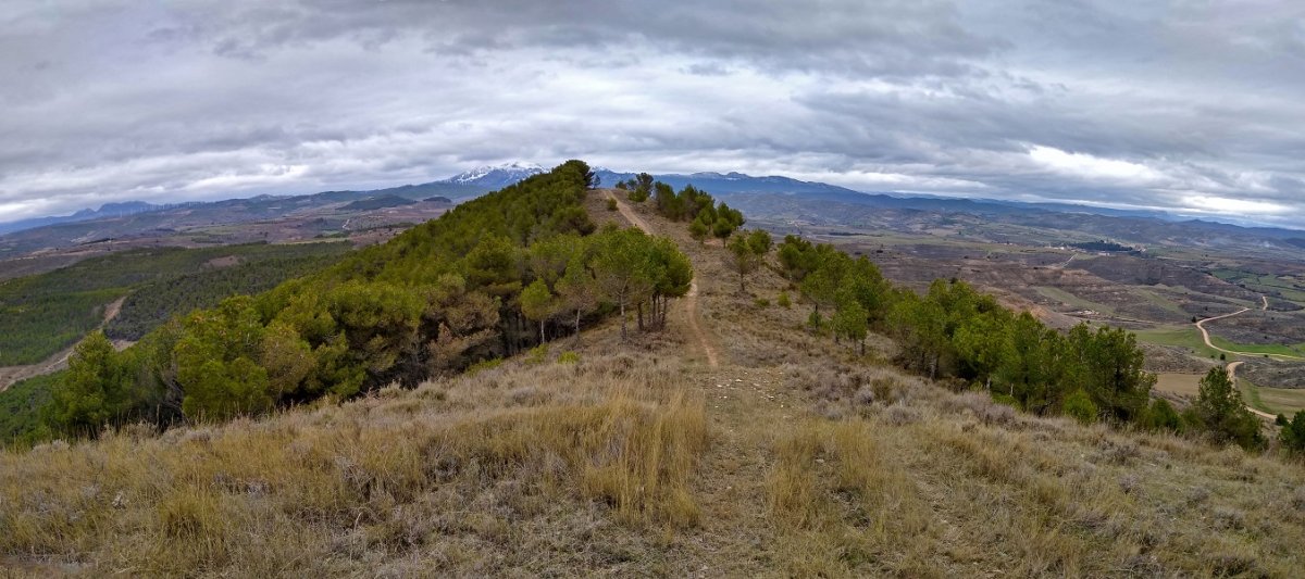Gailurra, erpin geodesikotik