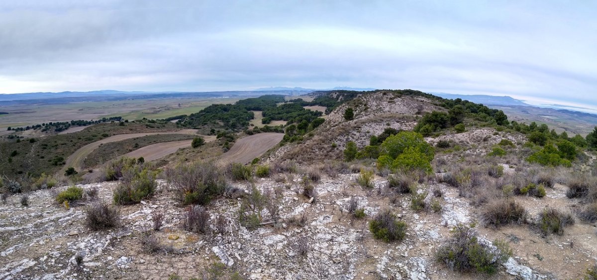 Tako geodesikoa duen gailurra