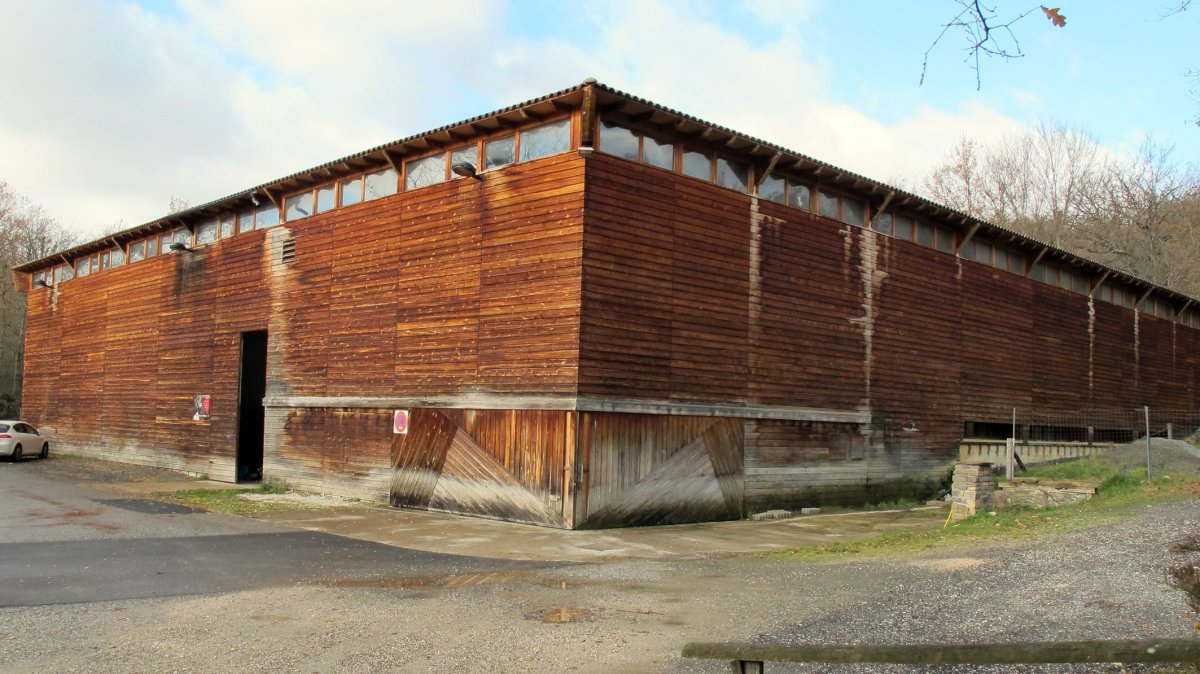 Polikiroldegia, Jauntsarats-Basaburua