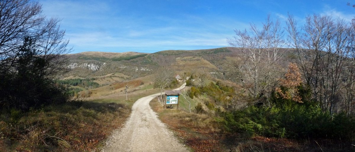 Basoa eta larreen arteko mugara iristen