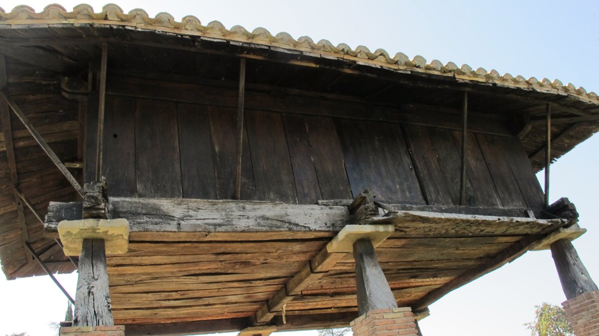 Arantzadi garaia, Iruñea