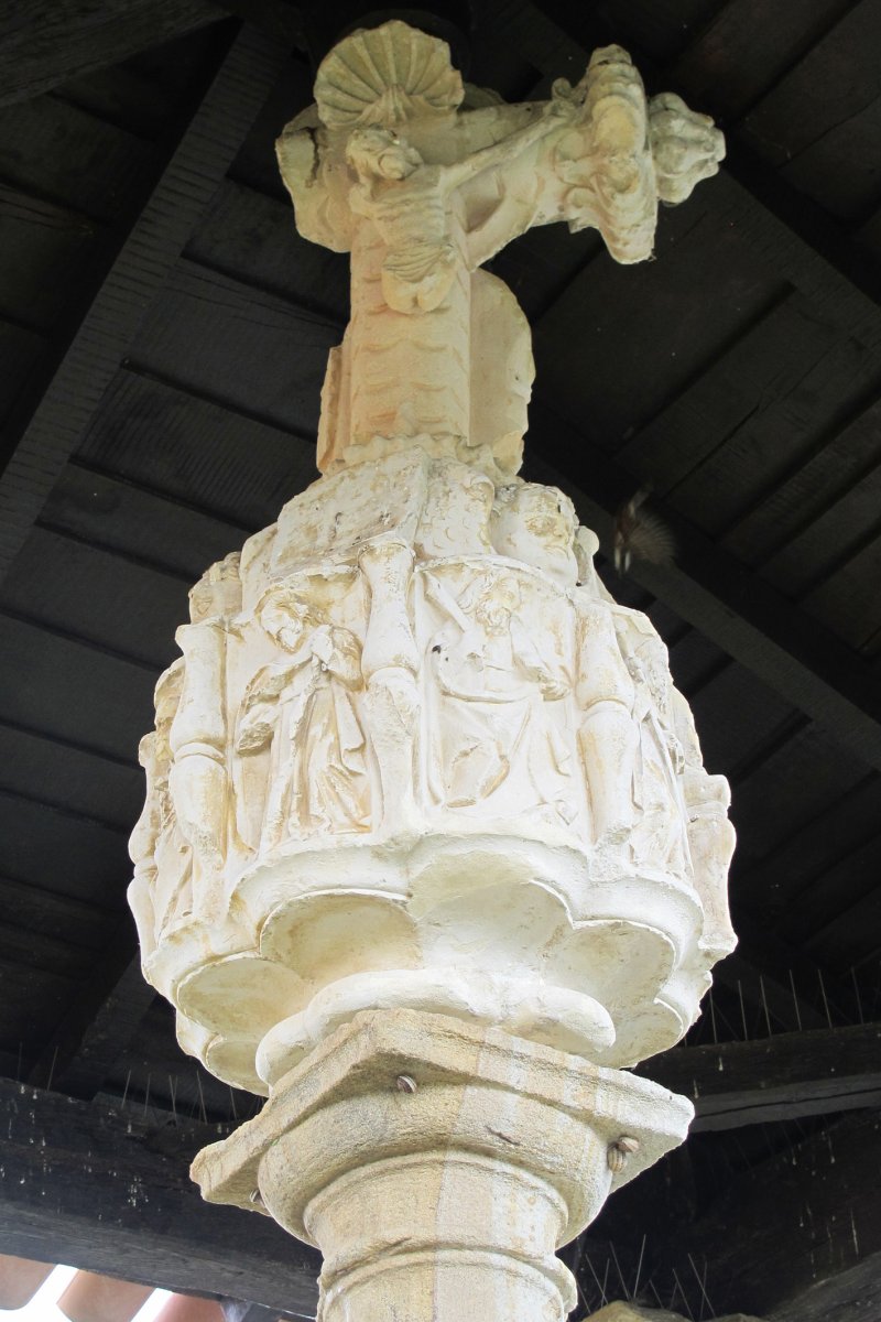 Kruzeroa, Narbaxa-Donemiliaga