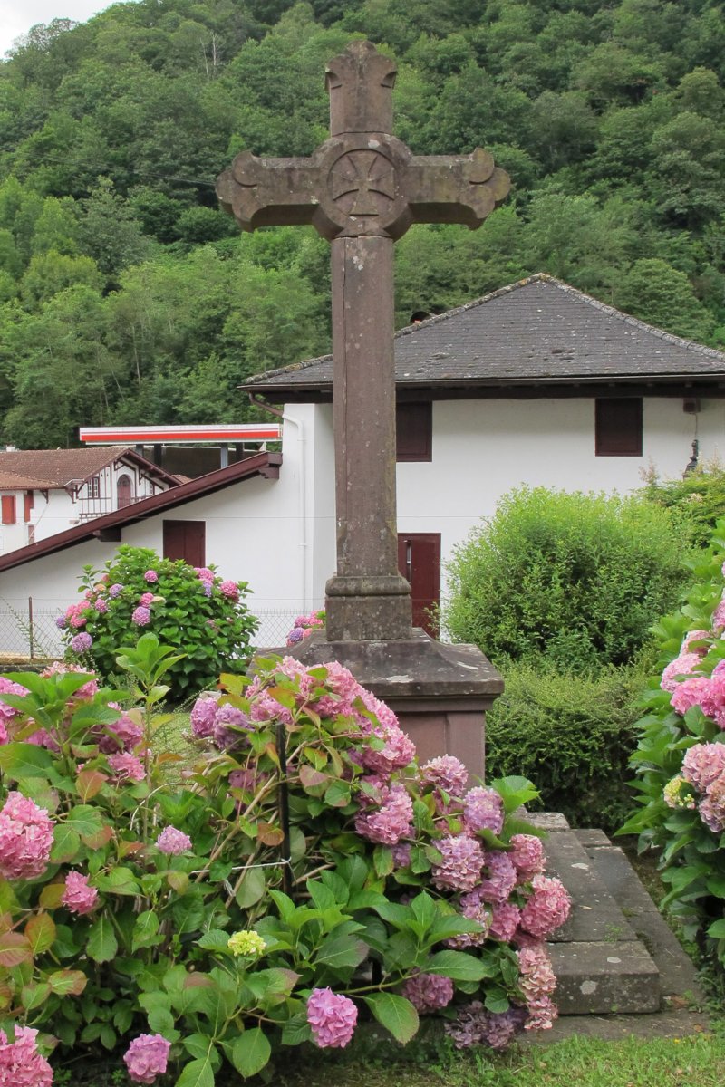 Asuncion eliza, Arnegi