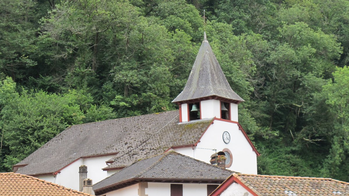 Asuncion eliza, Arnegi