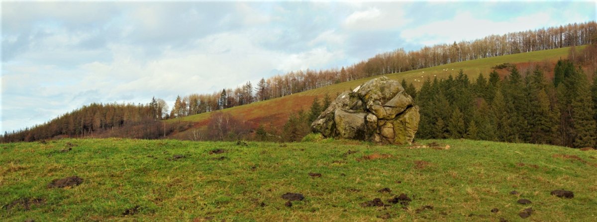 Larrarte Trikuharria