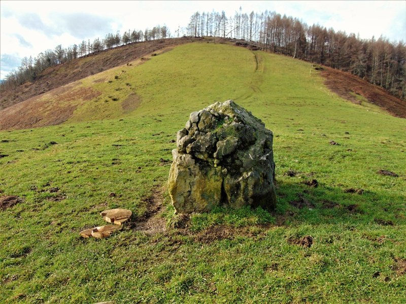 Larrarte Trikuharria