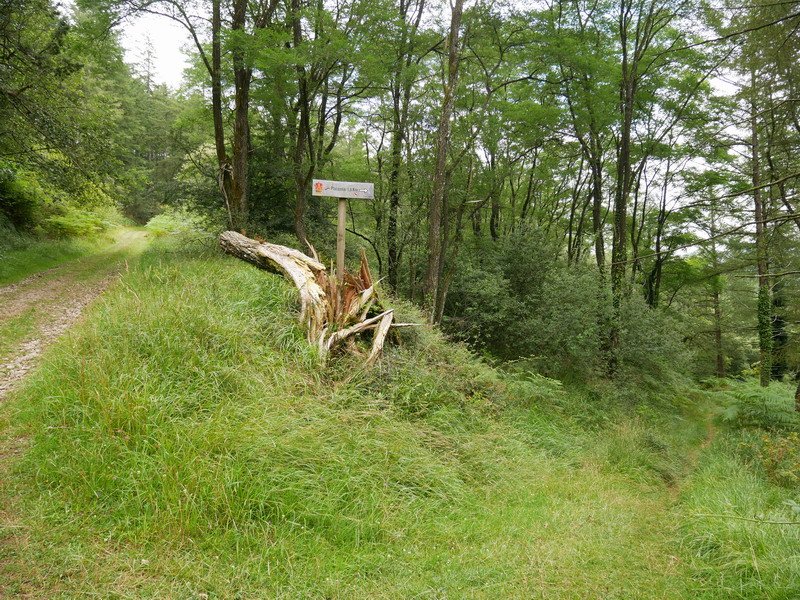 Plazazelaitik datorren bidea Aizkolegiko pistara iristen den tokia