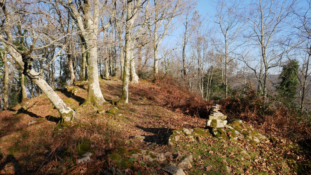 Tontorraren inguruak