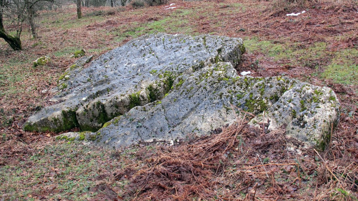 Uraska I zutarria, Entzia