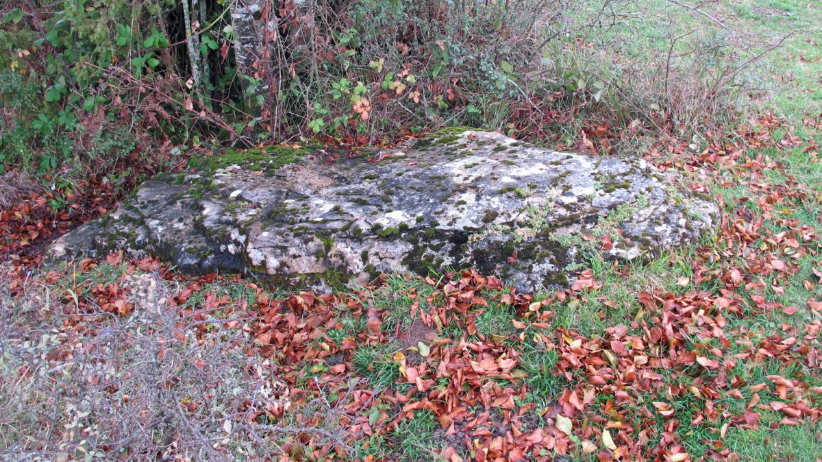 Uraska II zutarria, Entzia