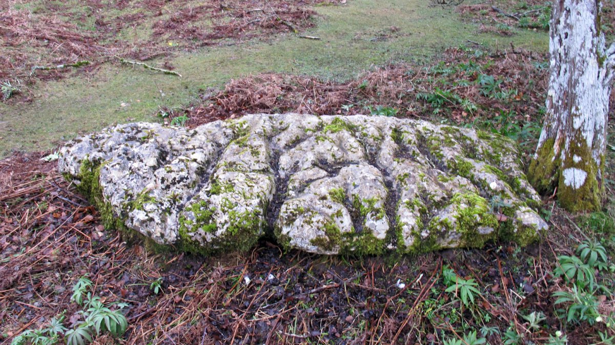 Uraska III zutarria, Entzia