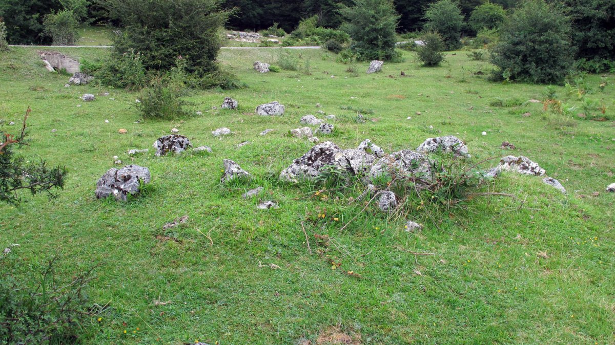 Larrazabal VII harrespila, Entzia