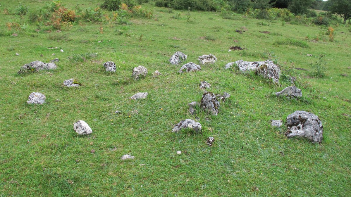 Larrazabal VII harrespila, Entzia