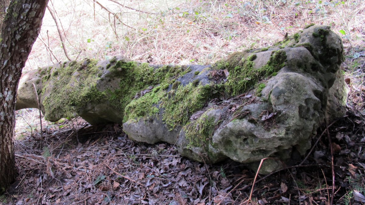 Peña Caída zutarria, Entzia