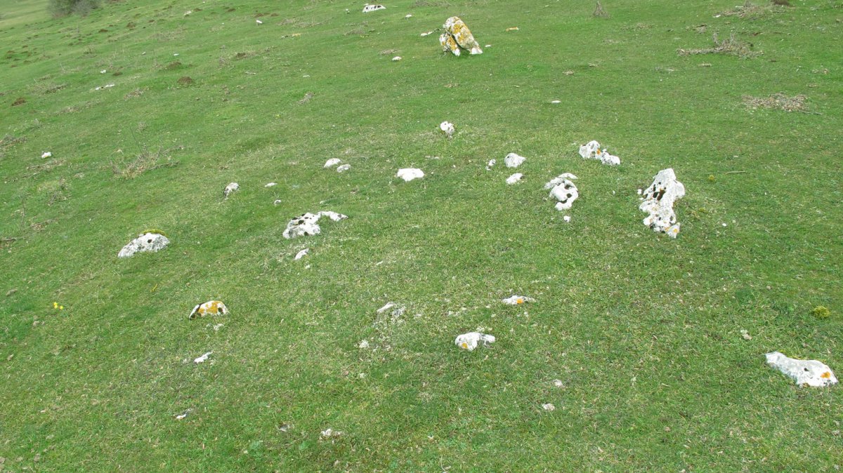 Legaire XIV harrespila, Entzia