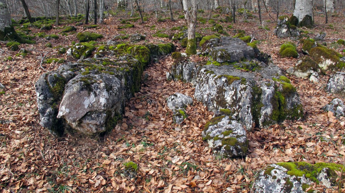 Larrazabal 1-2 zutarria, Entzia