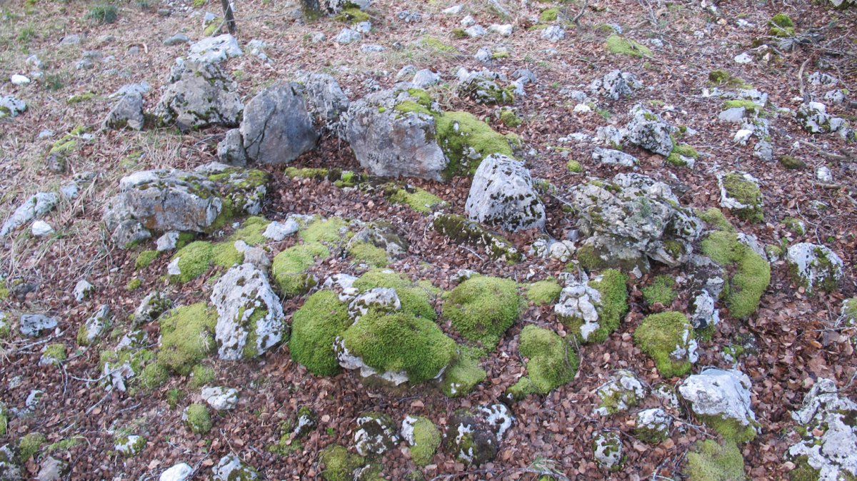 Berjalaran 3 erdi trikuharria, Donemiliaga