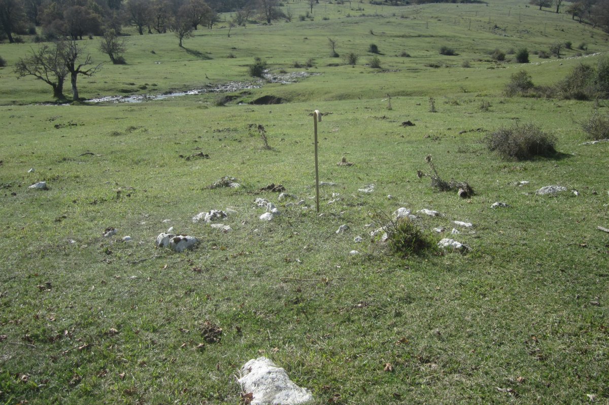 Túmulo IV Campo T. Legaire Norte (Octubre 2020)