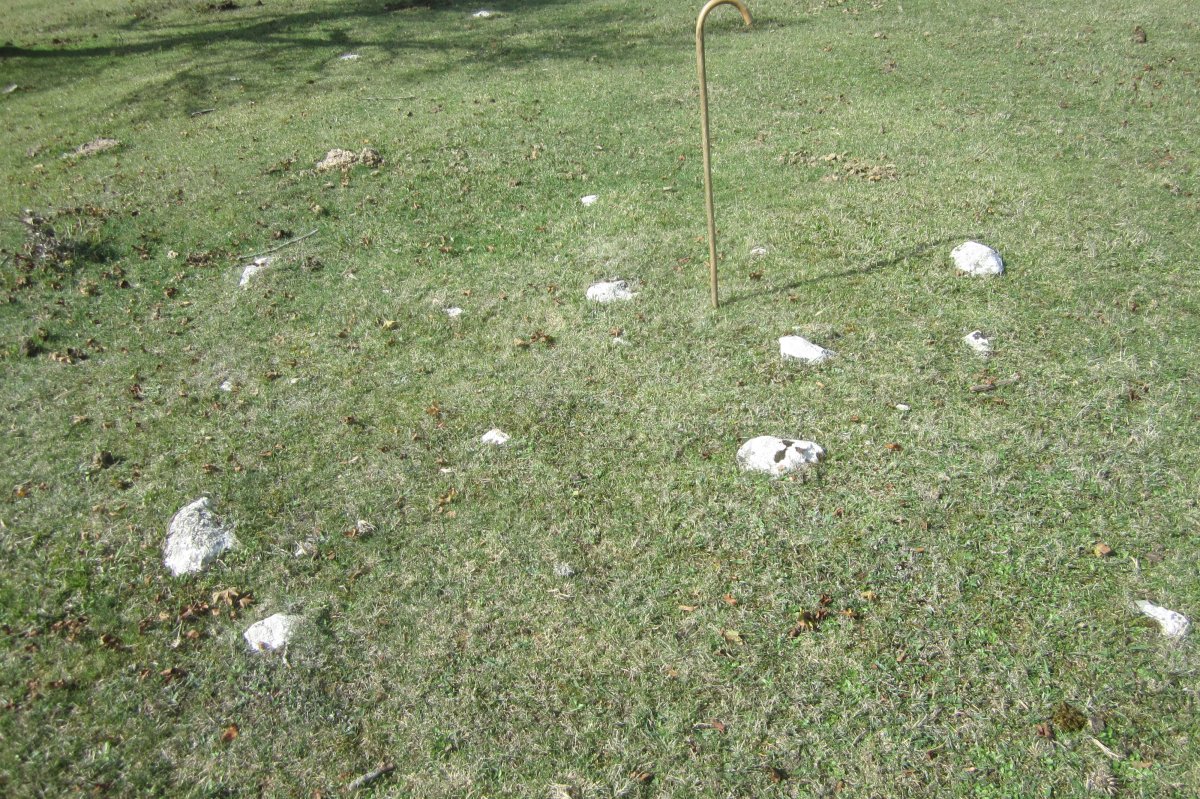  Túmulo I Campo T. Legaire Norte (Octubre 2020)