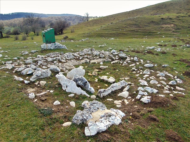 Akarteko Iraganbide Zista