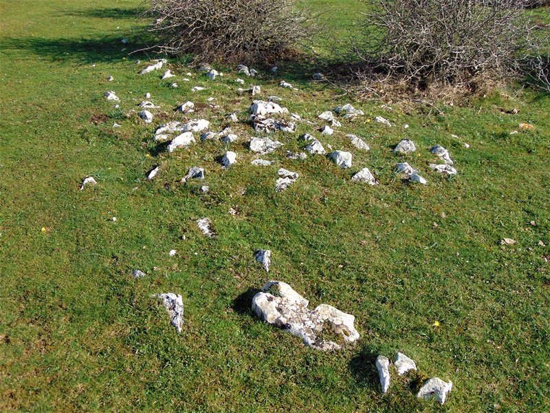 Legaire Bidea Tumulua