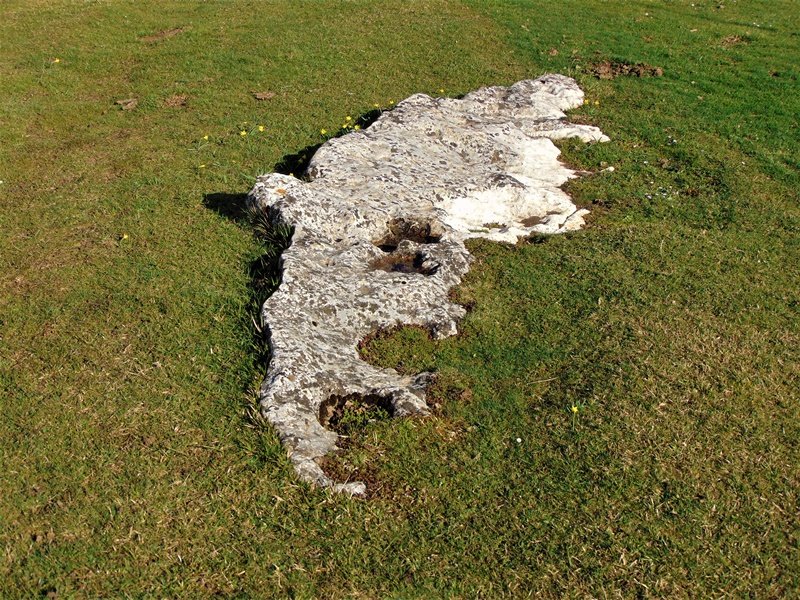 Legaire 3 Bidea Zutarria