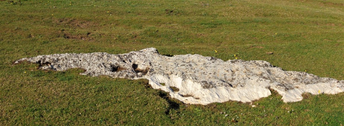 Legaire 3 Bidea Zutarria