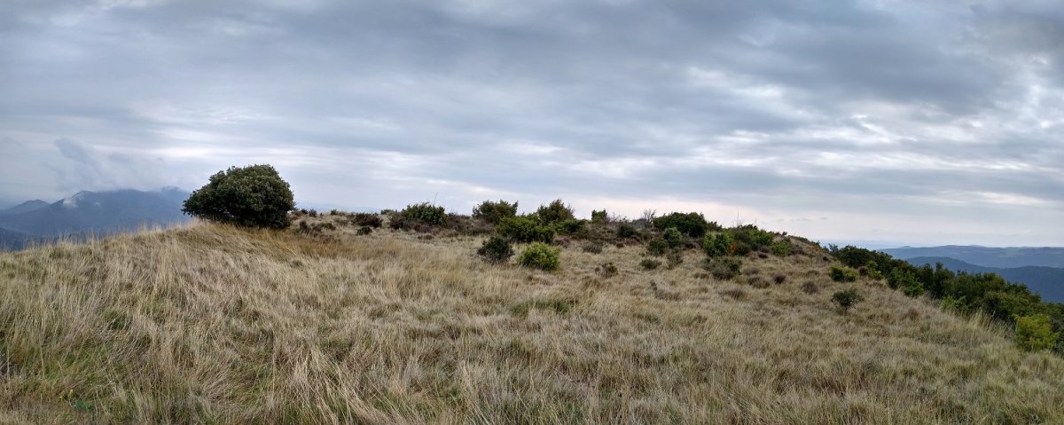 Capaburroseko gailurra, kastroaren arrastoekin