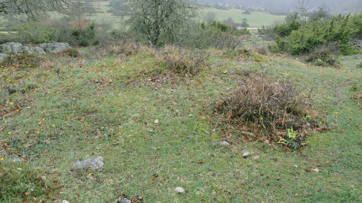 Itaida V tumulua, Entzia