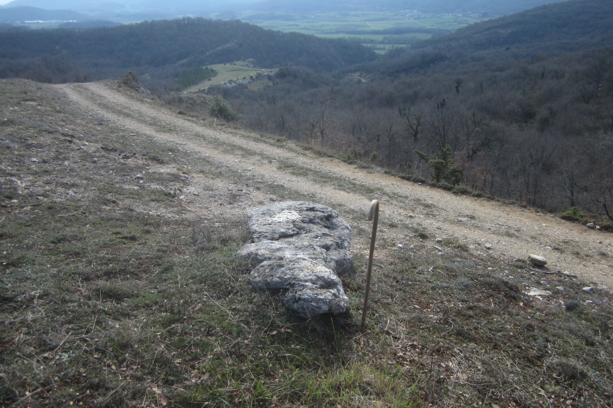 Monolito El Bardal  (Febrero 2020)