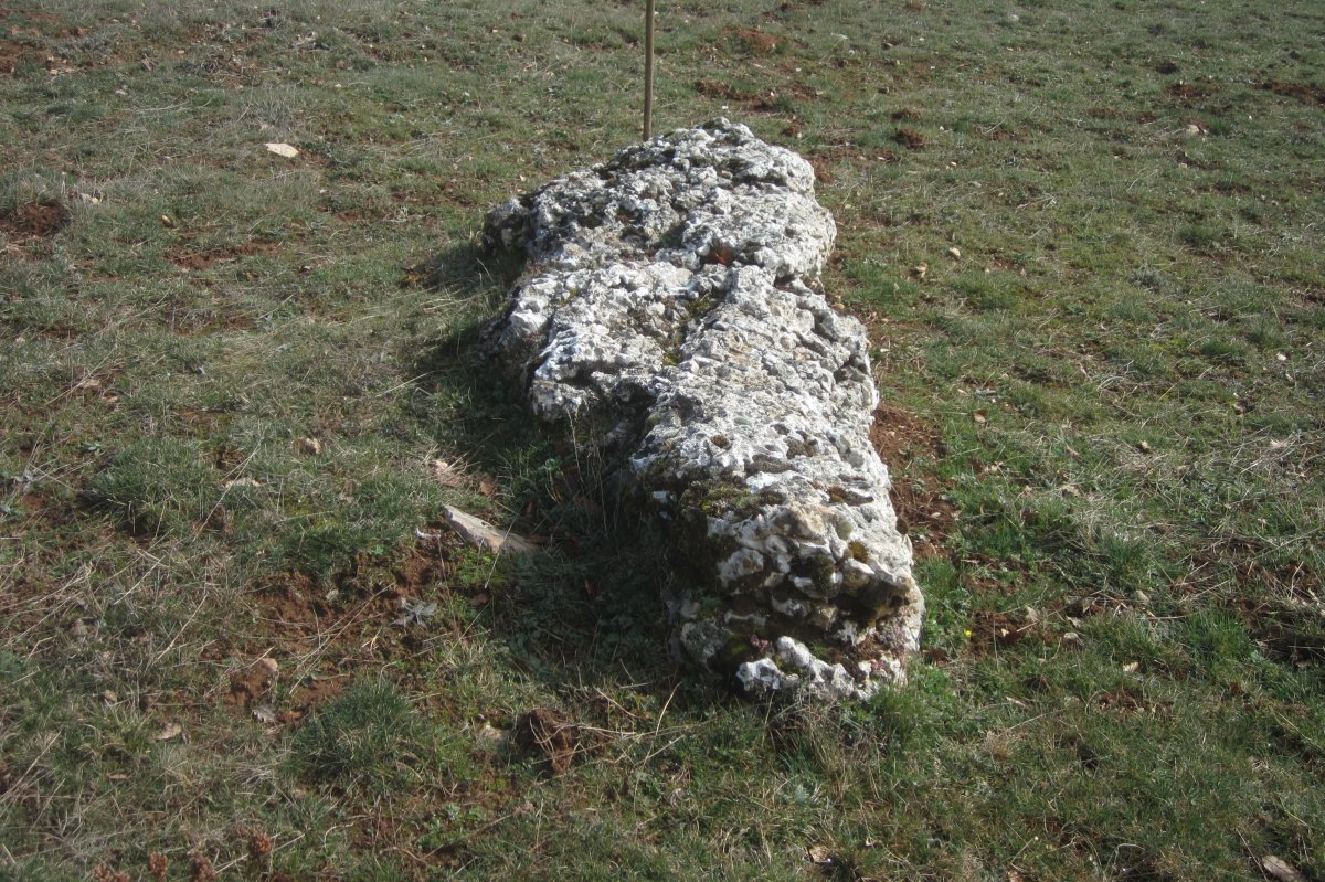 Monolito El Pelado de Aletxa (Febrero 2020)