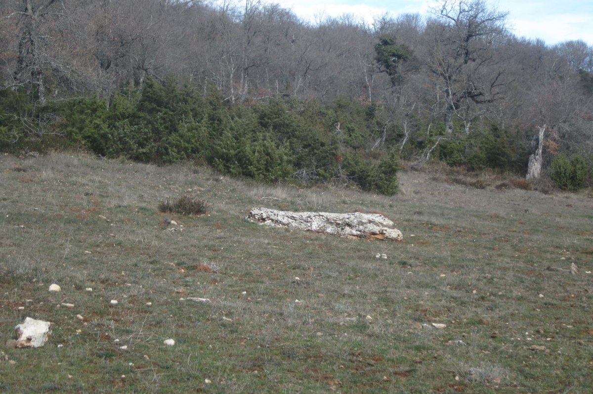Monolito El Pelado de Aletxa  (Febrero 2020)