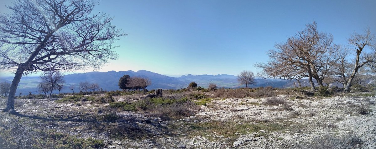 Malkarretara hurbilduz