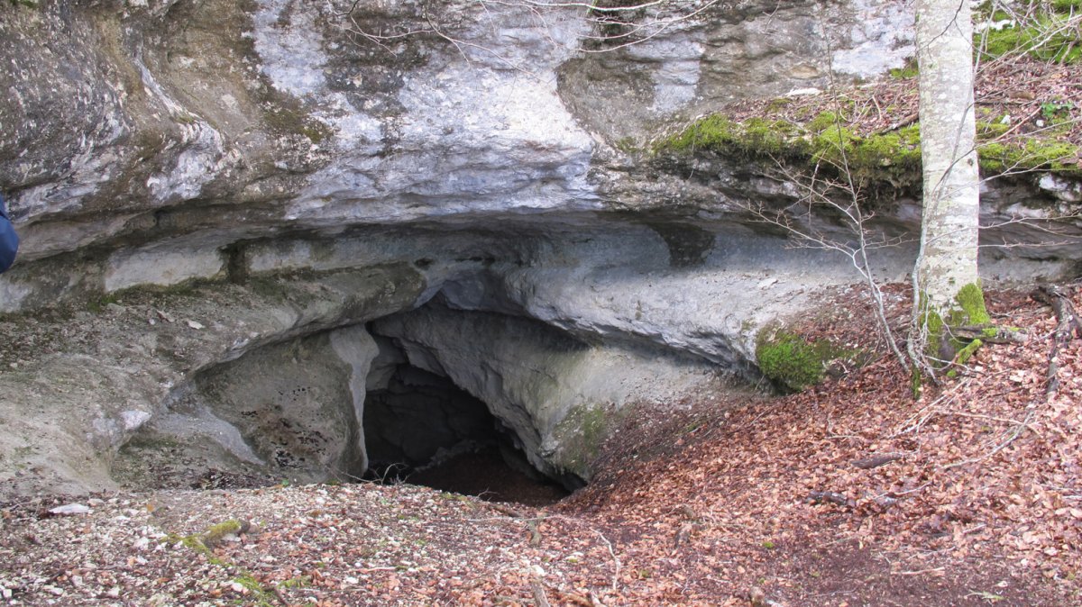 Las Armas koba, Entzia