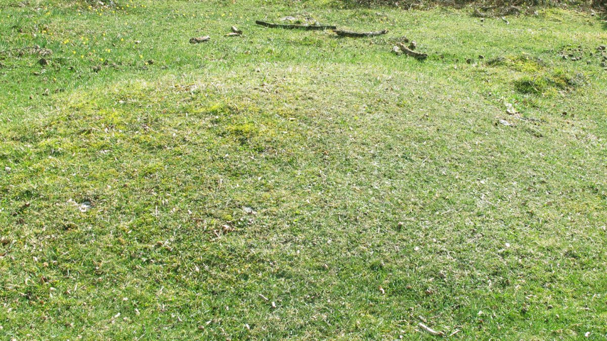 Itaida VII etxola hondoa, Entzia