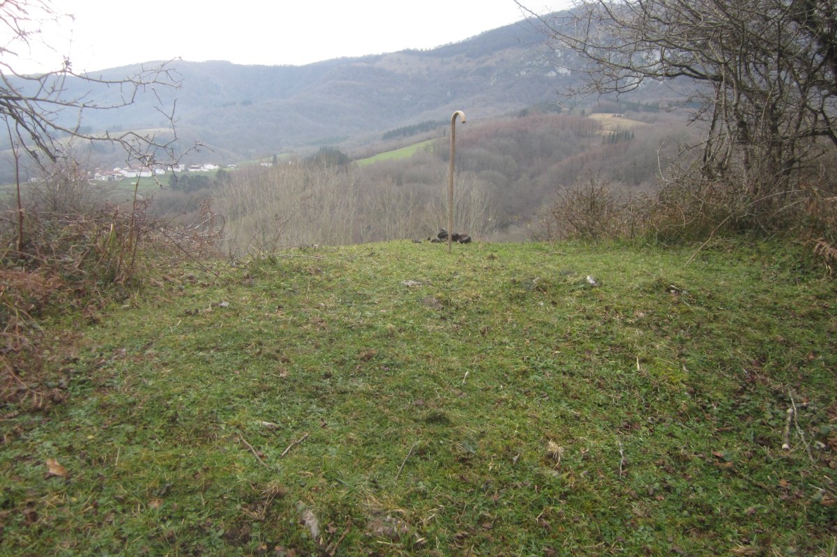 Fondo de Cabaña San Donato  (Enero 2020)