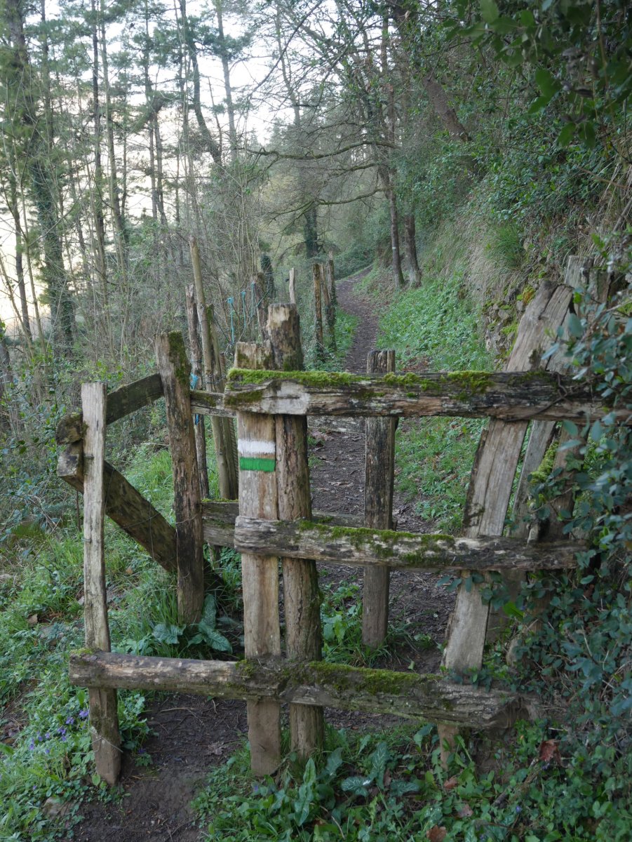 San Martin aldera abiatzen den PR bidea