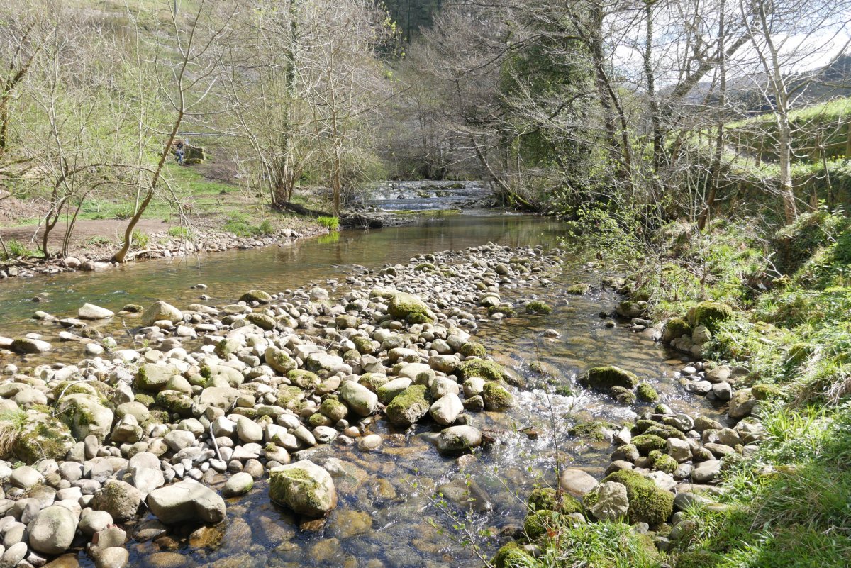 Agauntza erreka bide bazterrean