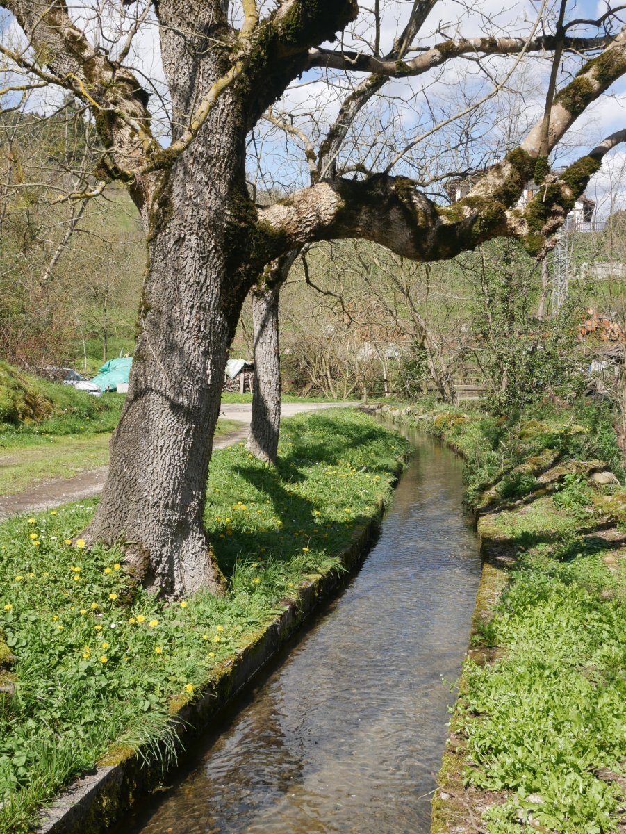 Ubidea San Gregoriora iristean