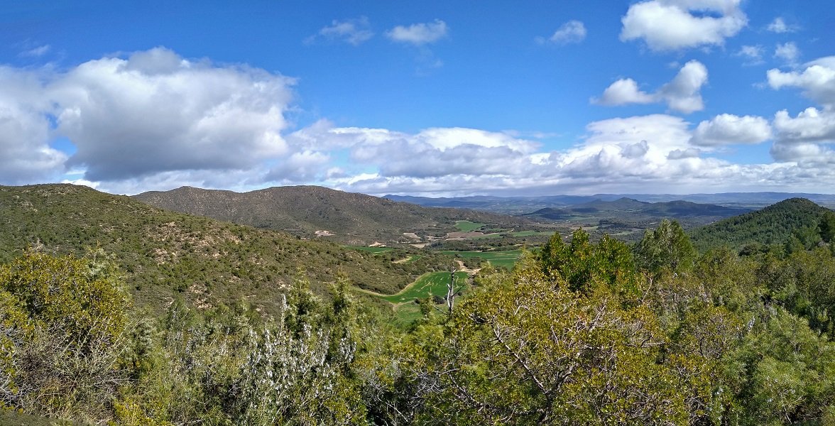 Psisaia zabalak gainaldetik