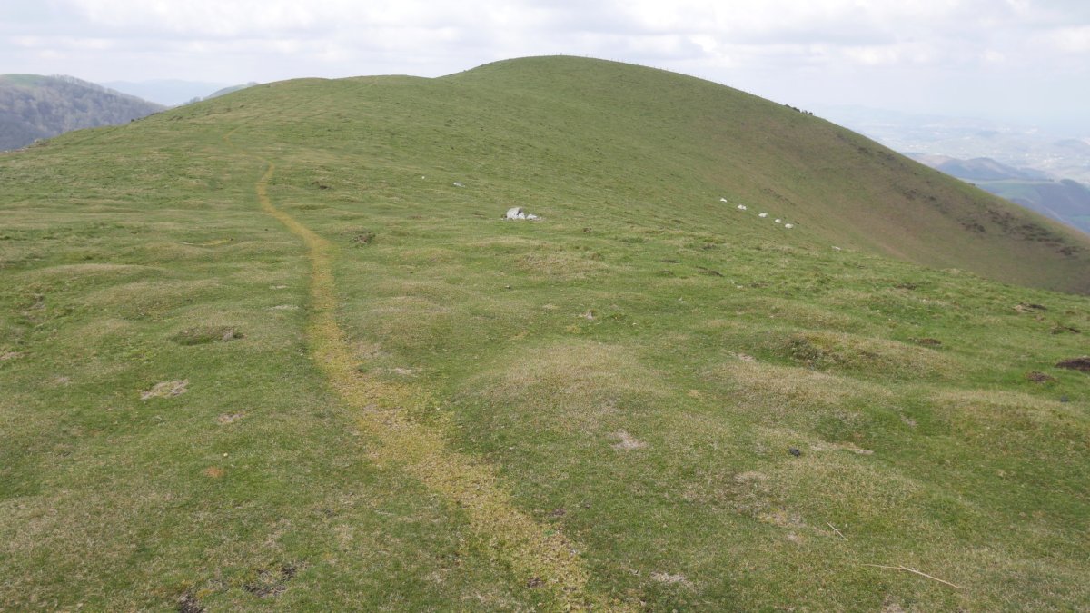 Ekialdeko bizkarretik