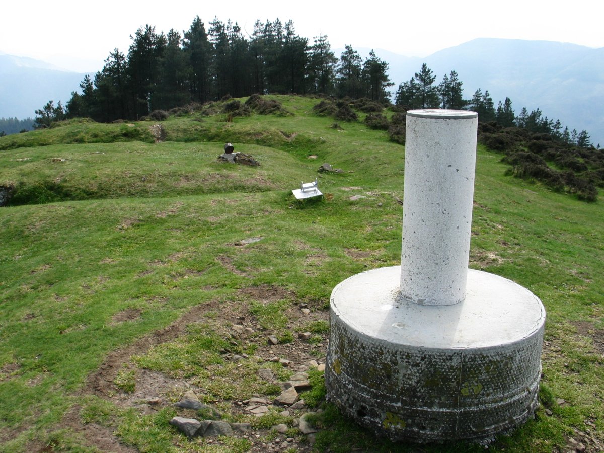 Erpin  geodesikoa, Onddo.