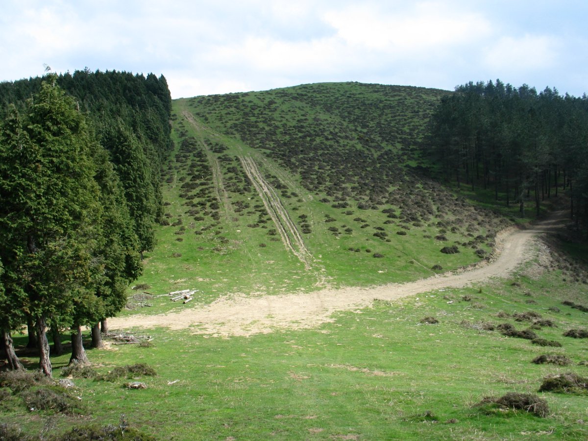 Tontorraren inguruak