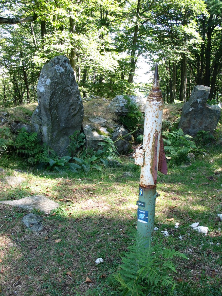 Buzoia eta trikuharria